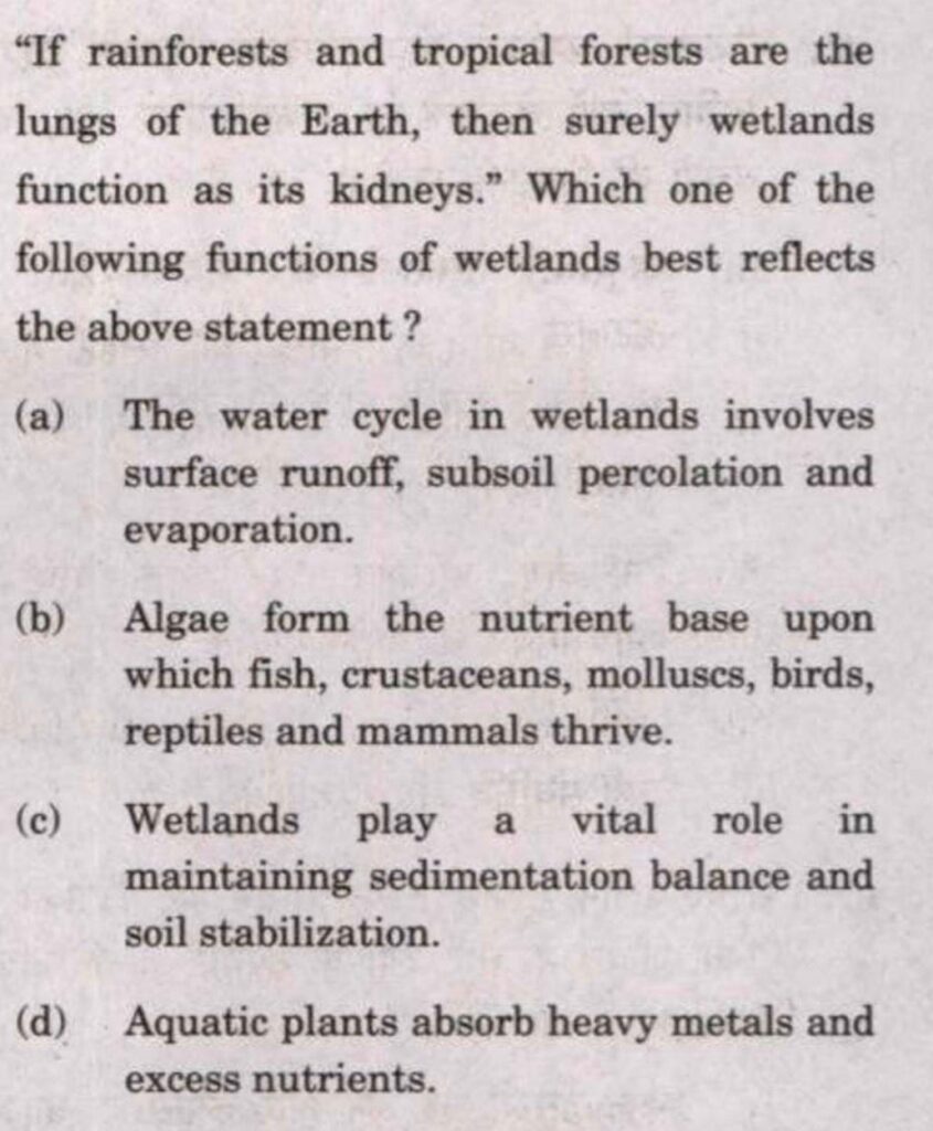 Chilika Lake migratory birds