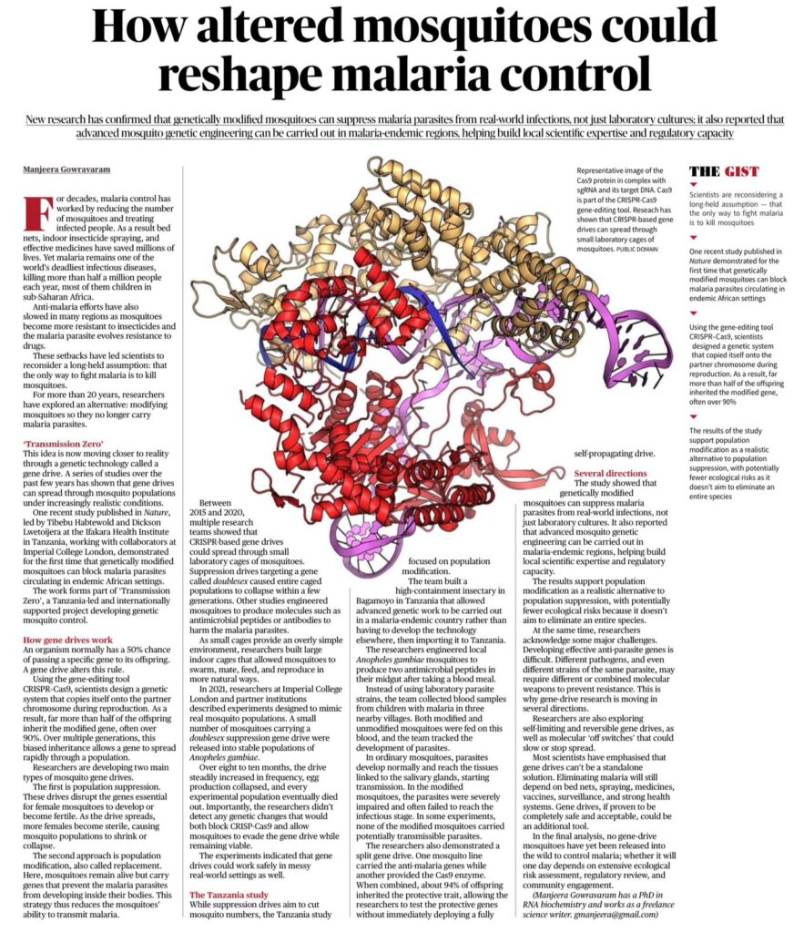 Genetically Modified Mosquitoes Malaria