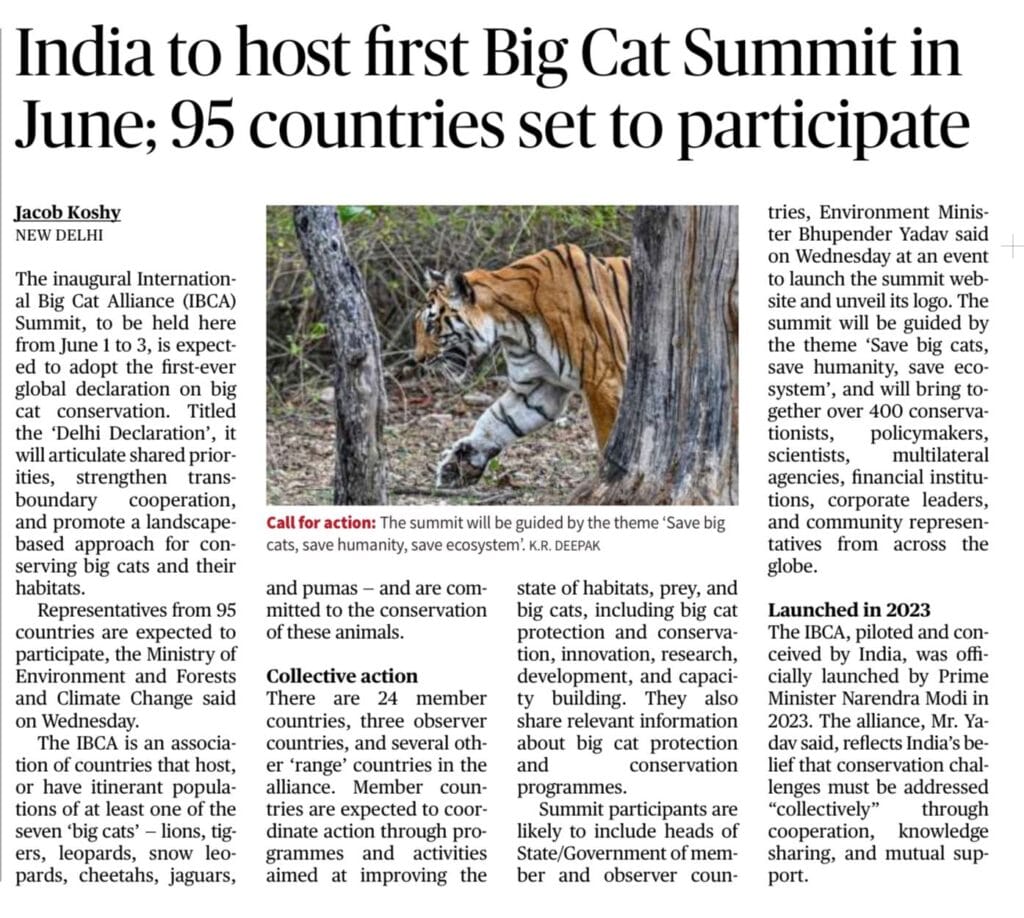 International Big Cat Alliance