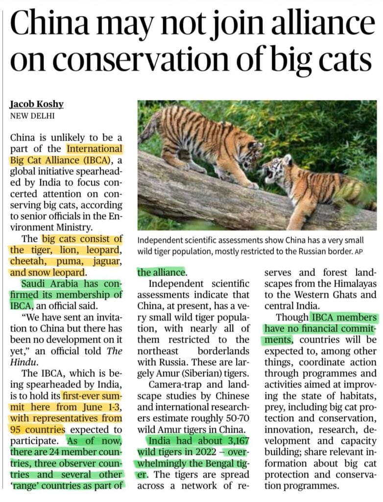 International Big Cat Alliance