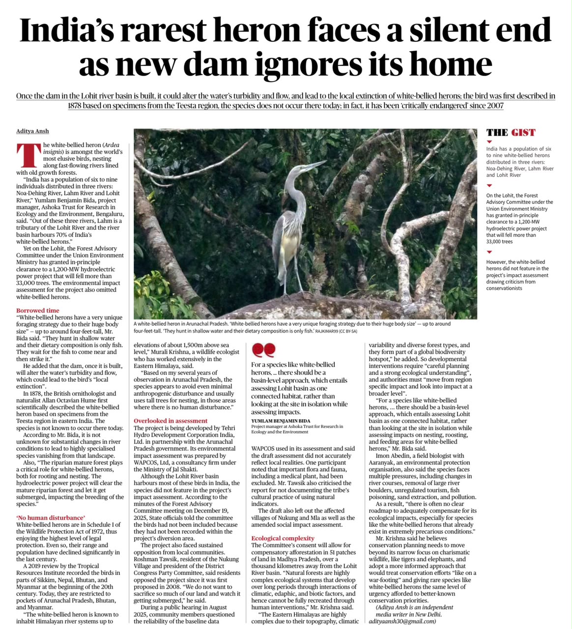 White-bellied Heron hydropower project